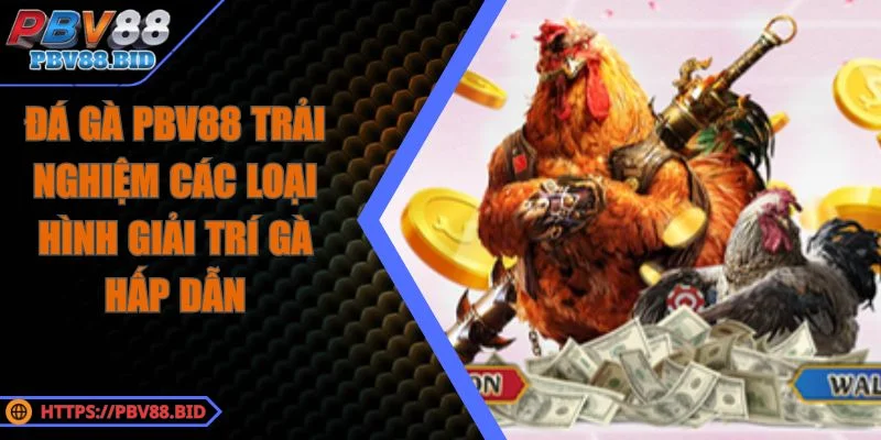 Đá Gà PBV88