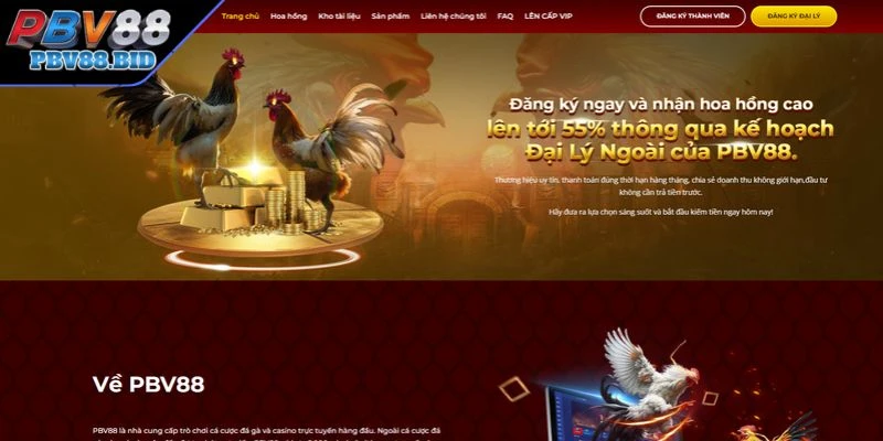 Điều kiện cần để gia nhập biệt đội Đại Lý PBV88
