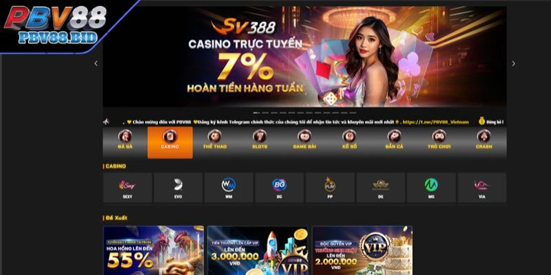 Đánh Giá PBV88 thông tin tổng quan
