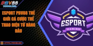 Esport PBV88