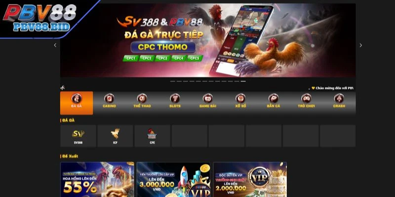 Giới Thiệu PBV88 với những giá trị cốt lõi