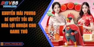 Khuyến Mãi PBV88