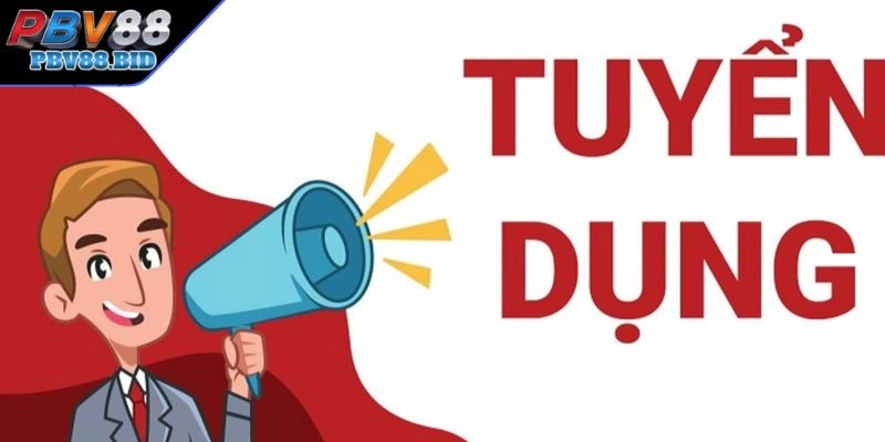 Các vị trí Tuyển Dụng PBV88 và yêu cầu chi tiết
